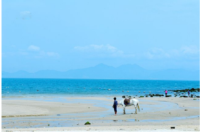 1472873332719314.png 惠州霞涌黄金海岸2天游378.png