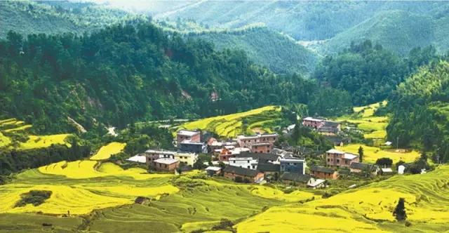 1479797117857616.jpg 640.webp.jpg