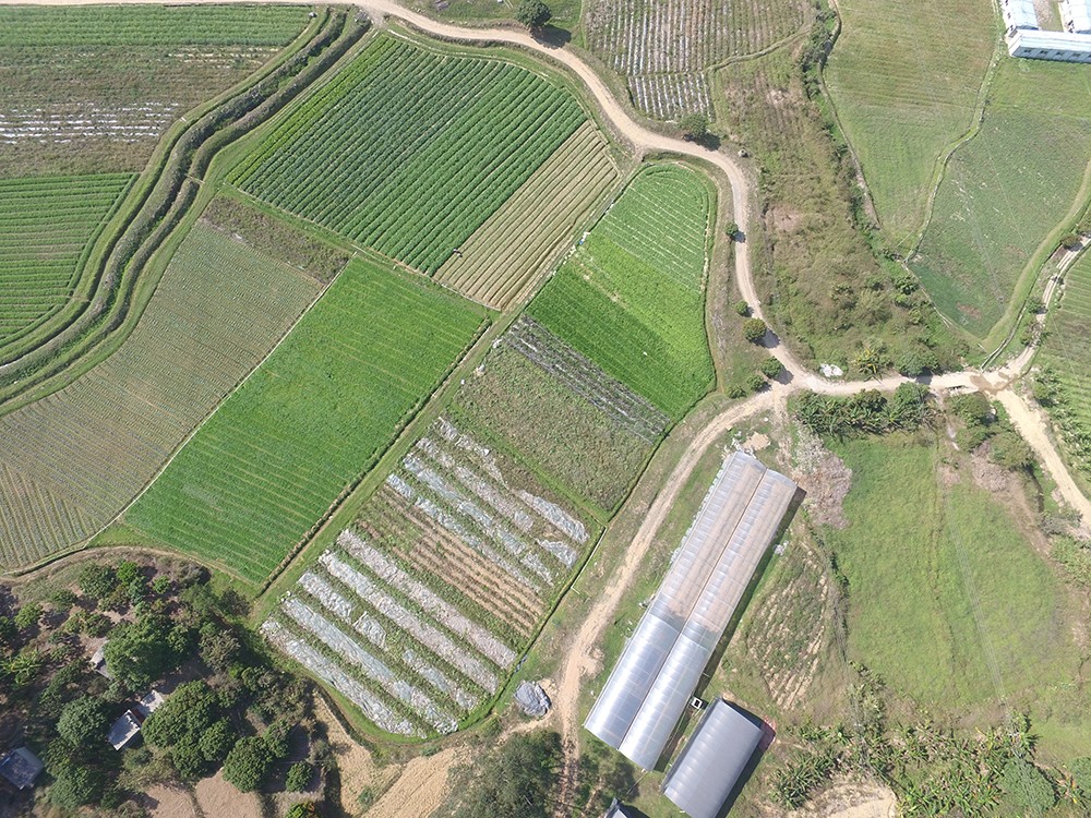 DJI_0015.JPG