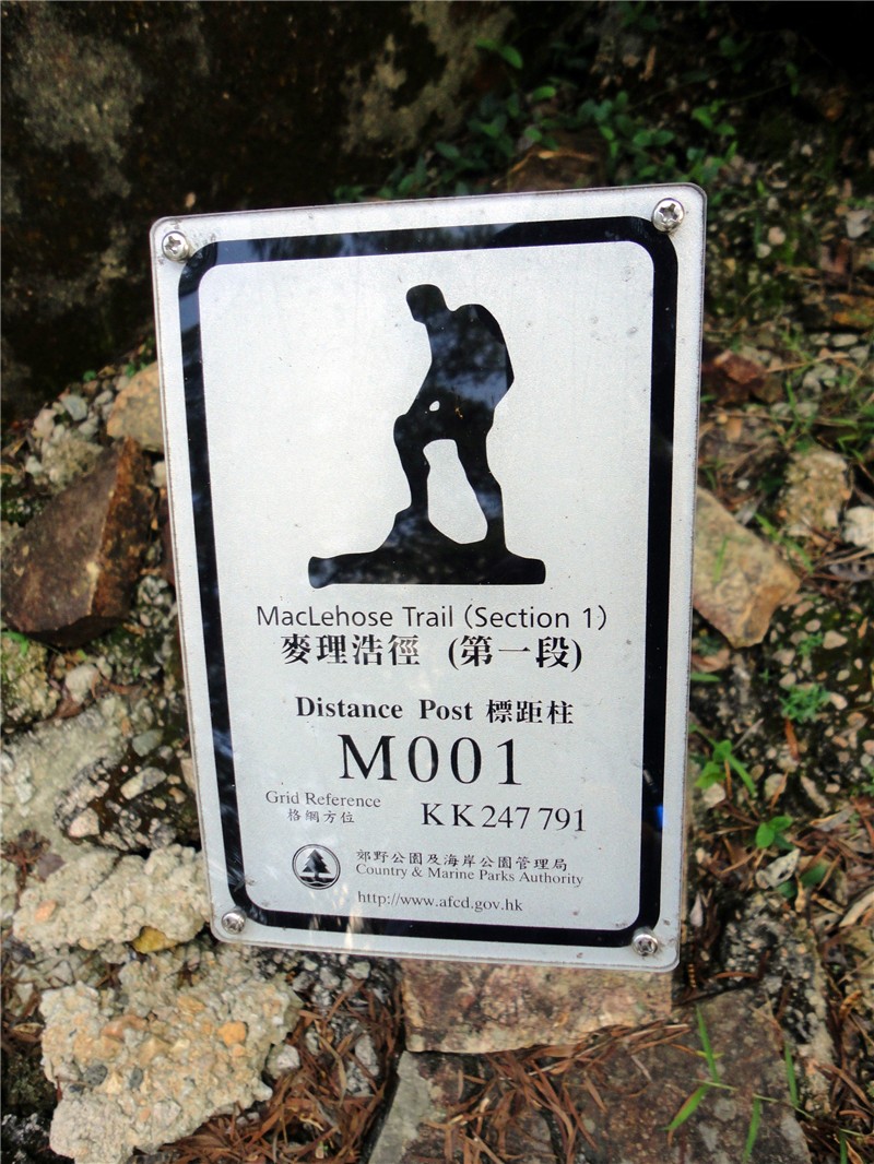 1487817455369498.jpg