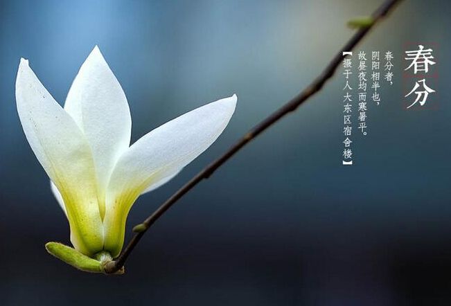 1490344550328473.jpg 春分.jpg
