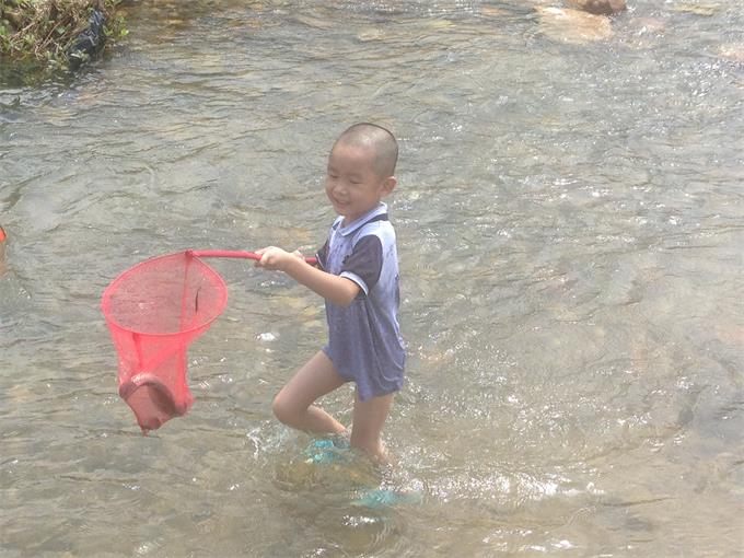 1490600556765442.jpg 抓鱼4.jpg