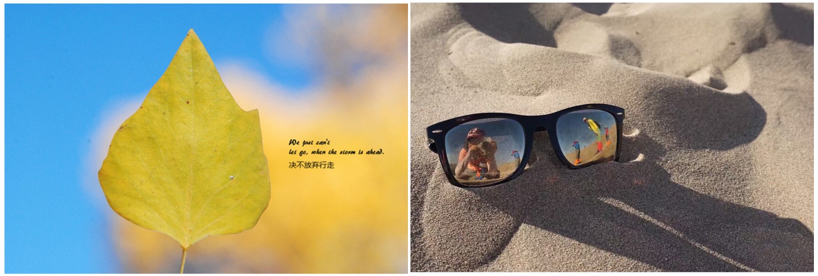 1502815729794385.jpg 西北3.jpg