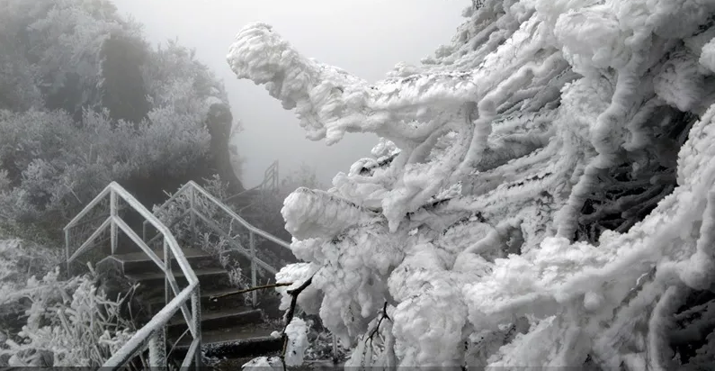 冰雪金子山.png