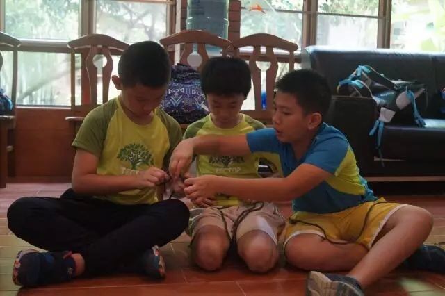 1510719672157621.jpeg