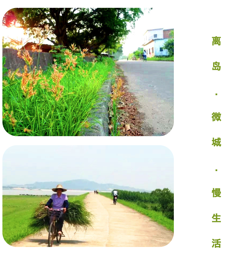 1511858118618551.png WX20171128-163006@2x.png