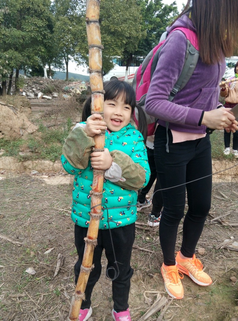 1513954887136617.jpg 砍甘蔗1.jpg