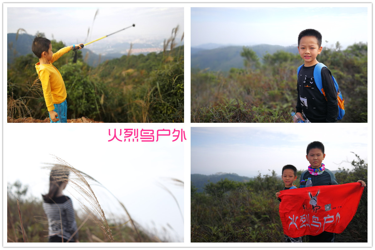 1520492603710486.jpg 茶山000.jpg