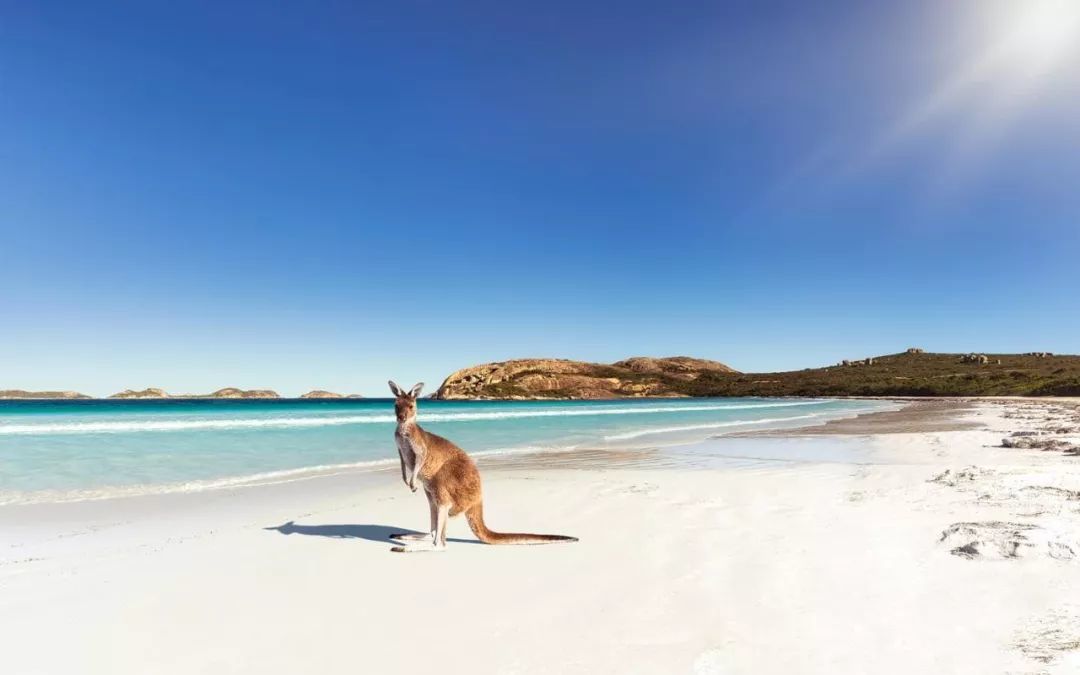 1540968628353892.jpg wKgBEFtlz72AH82bAADA-w7QLd834.jpg