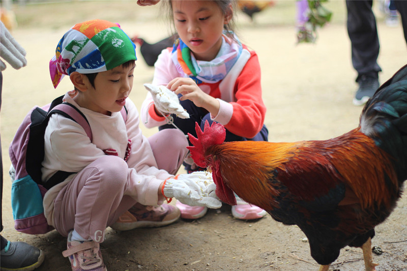 1542777295265266.jpg IMG_1955_副本.jpg