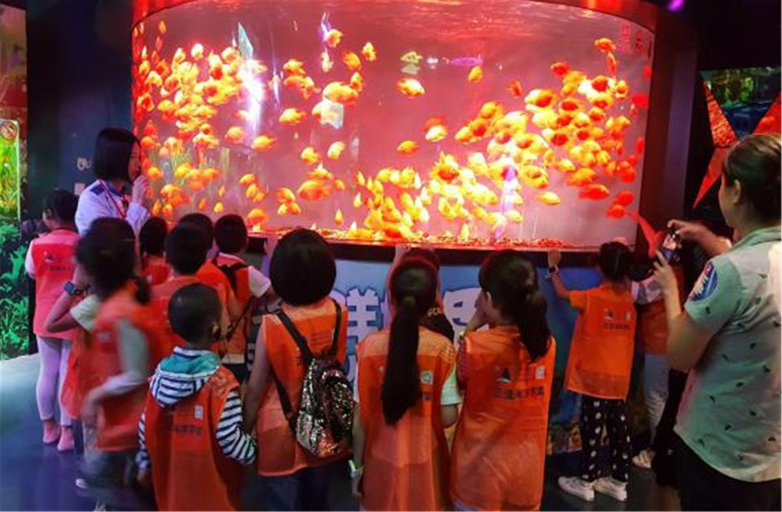 1543201381354534.jpg 亮点2-1.jpg