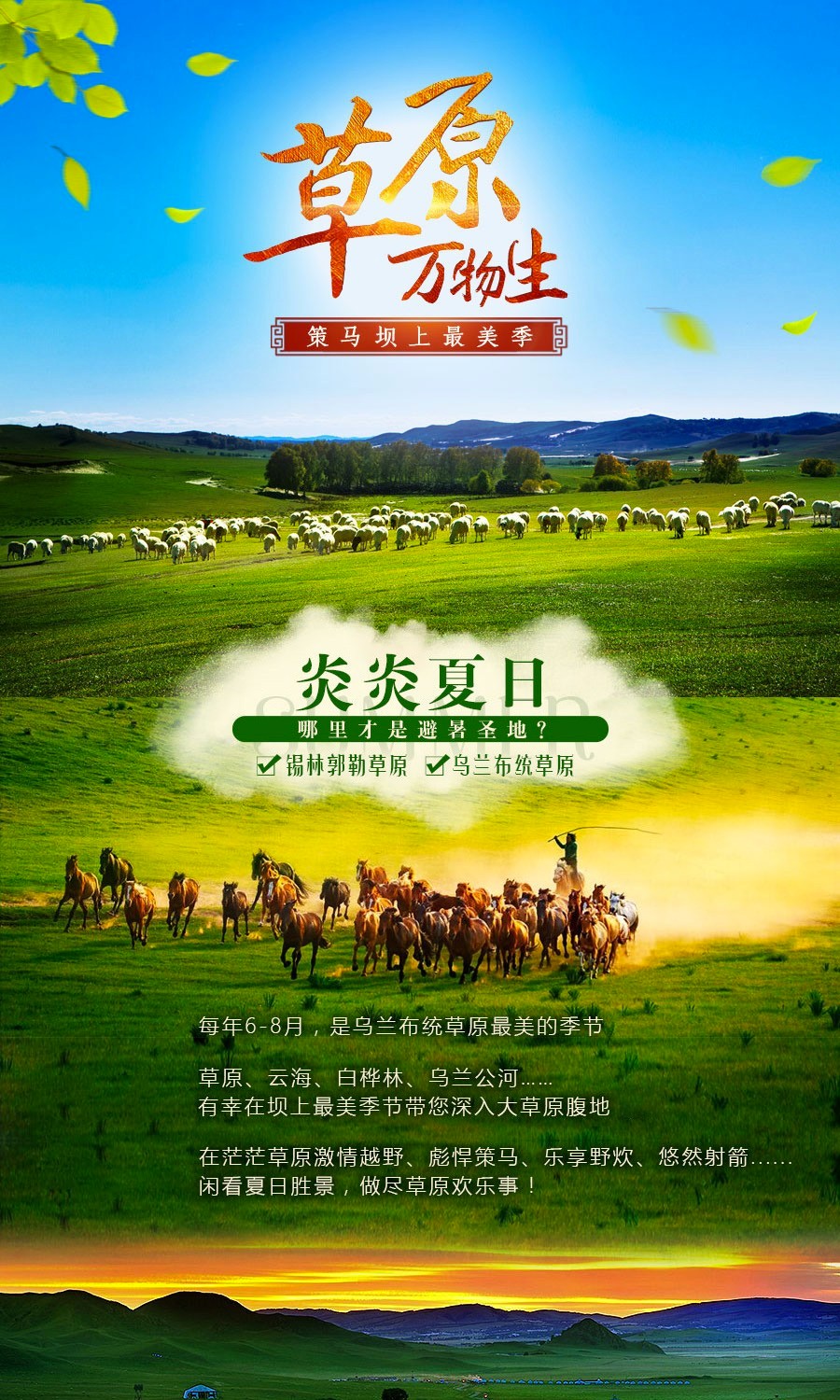 1551261444826652.jpg 未标题-1 拷贝.jpg