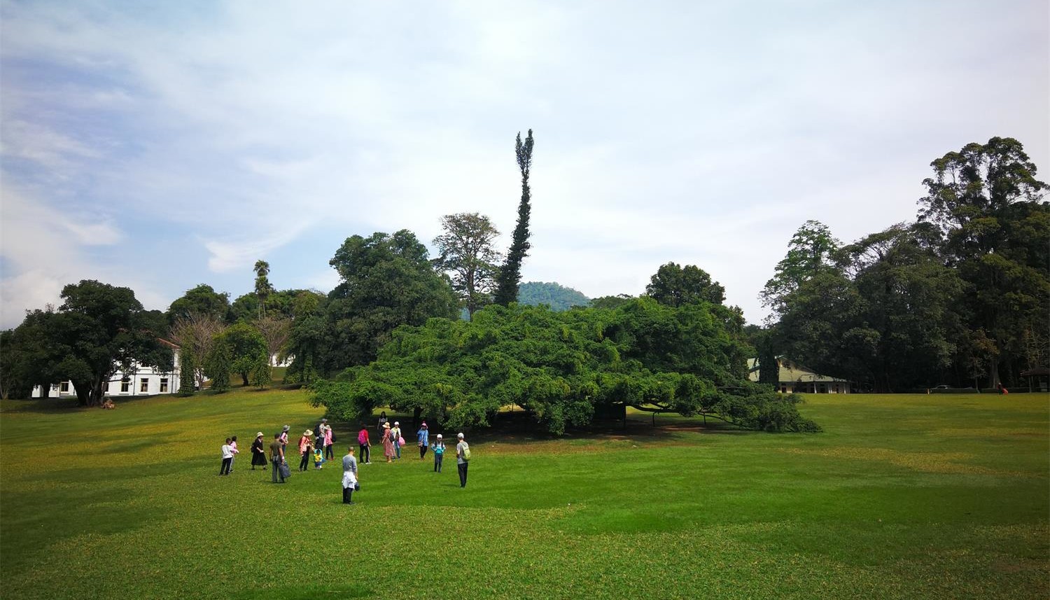 1552639600351386.jpg 风景-植物园时光_看图王.jpg