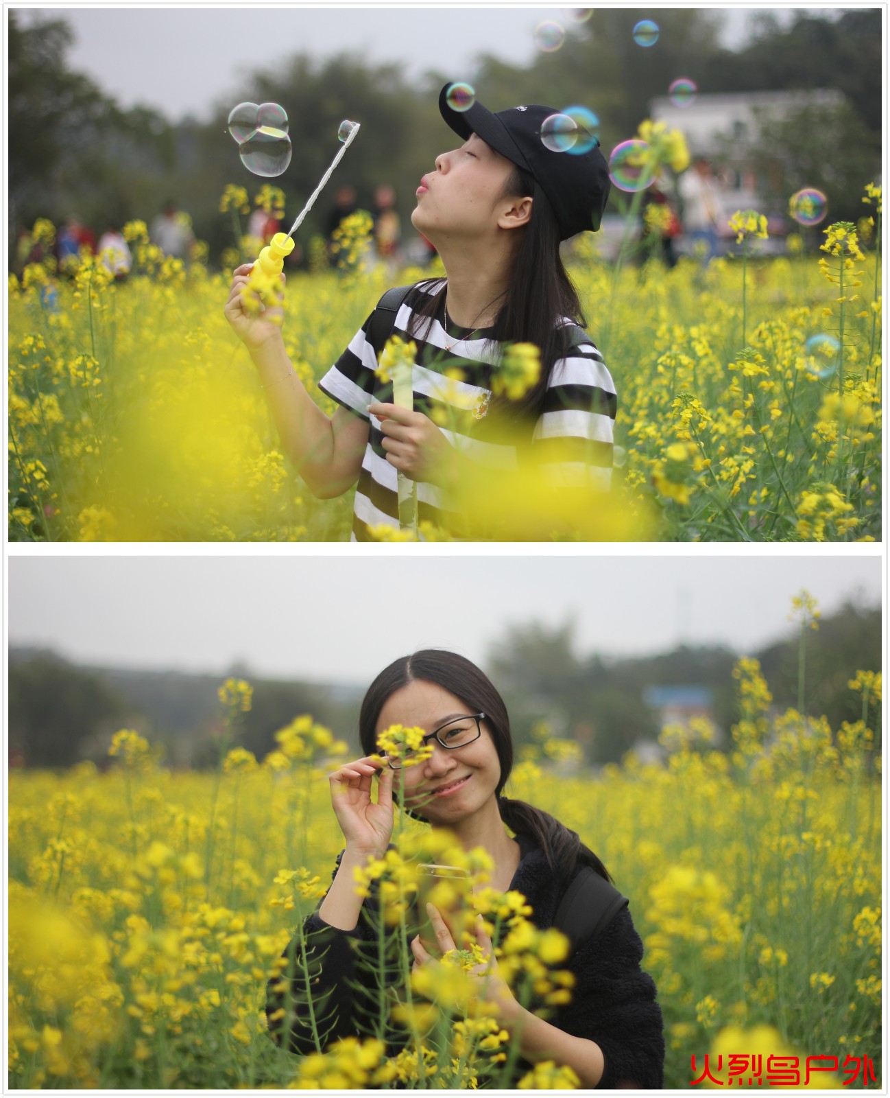 1553654965733454.jpg init油菜花.jpg