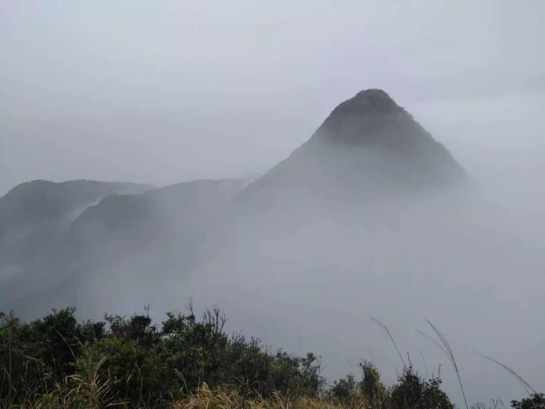 1556183750631832.jpg 微信图片_20190425171210.jpg