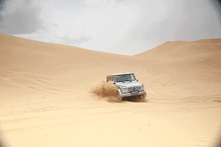 1560962326830440.gif 1560962326830440.gif