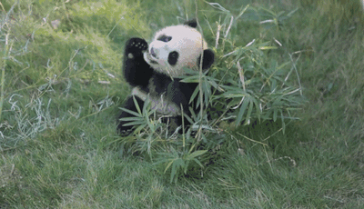 1572595531856755.gif 4.gif