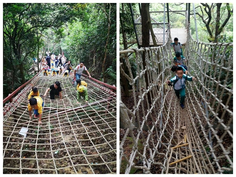 1574061958564629.jpg 1574061958564629.jpg