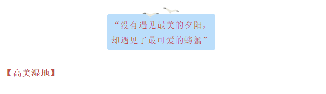 微信图片_20200312114125.png