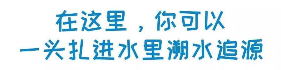 1589265466790547.jpg 微信图片_20200512143226.jpg