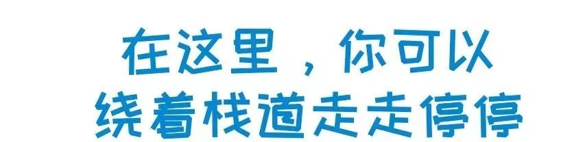 1589265574901616.jpg 微信图片_20200512143057.jpg