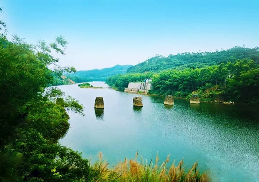 1600250735698334.jpg qing.jpg