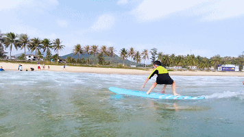 1605238169889651.gif 640 (2).gif