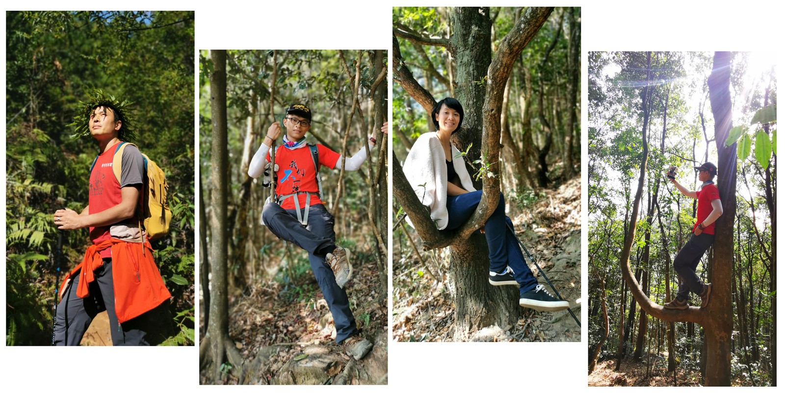 1606967953633412.jpg 老虎头2.jpg