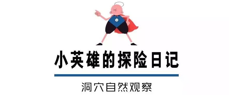 1607481938109481.jpg 332123.jpg