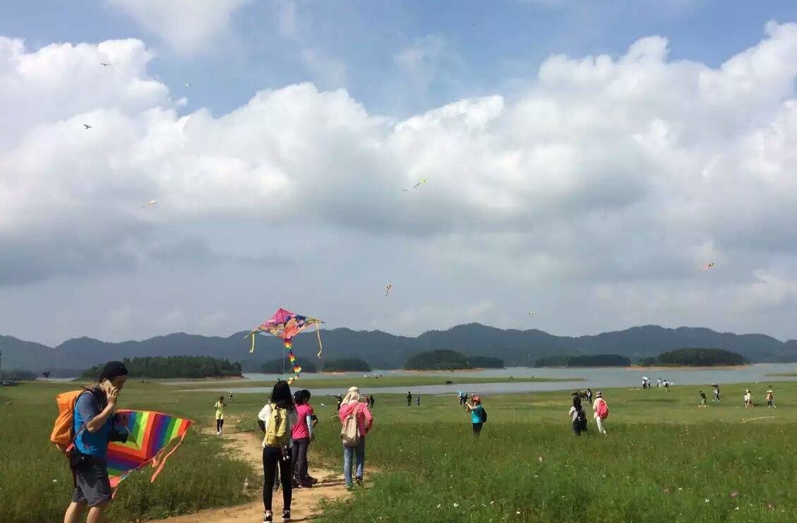 1617778106944076.jpg 寻皇草原风筝1.jpg