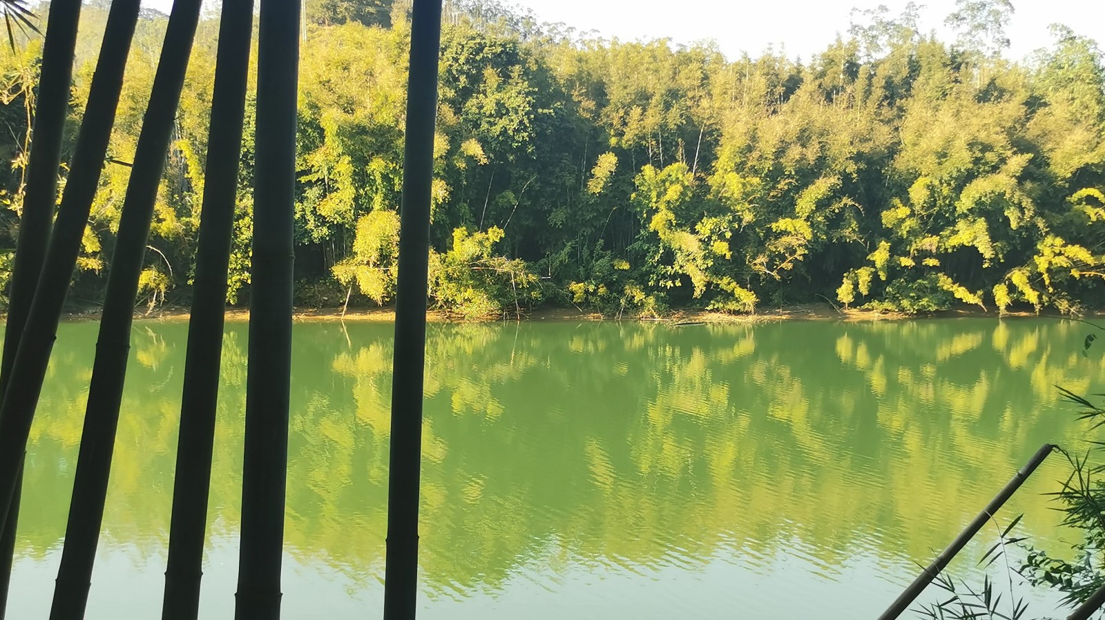 1621568895389647.jpg 微信图片_20210521114741.jpg