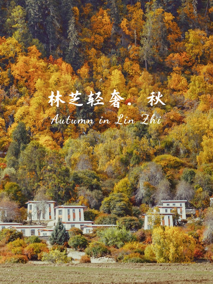 1629905132523418.jpg 微信图片_20210825232445.jpg