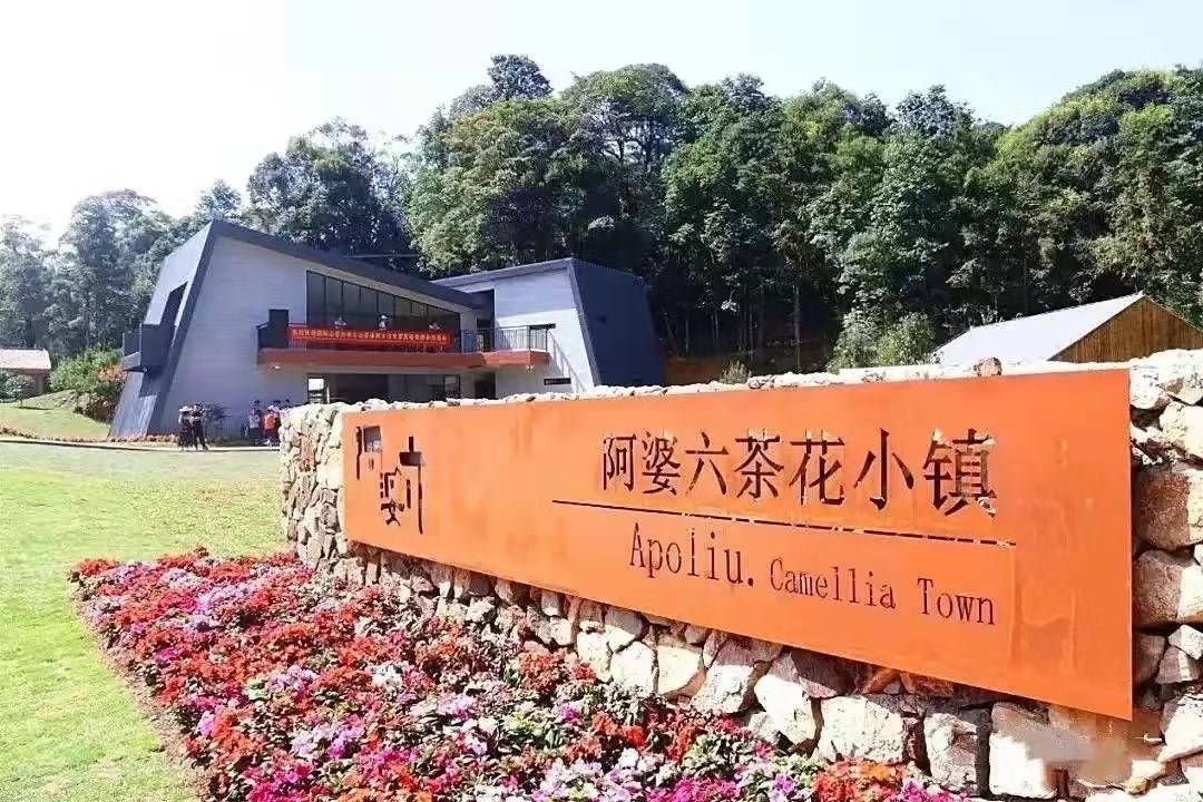 1631773927263202.jpg 阿婆六.jpg