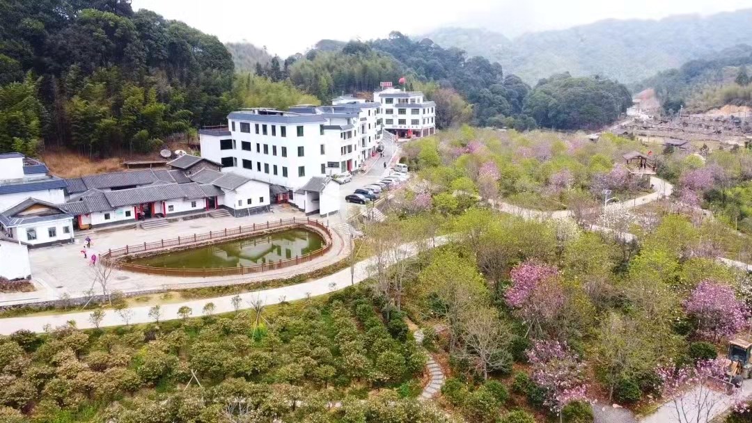 1631773990648612.jpg 阿婆六1.jpg