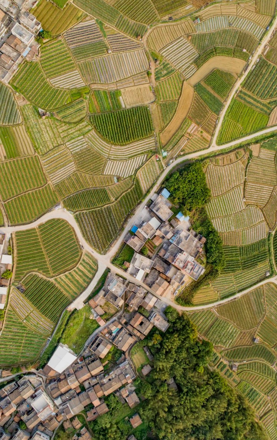 1634029666367556.jpg 23423234.jpg