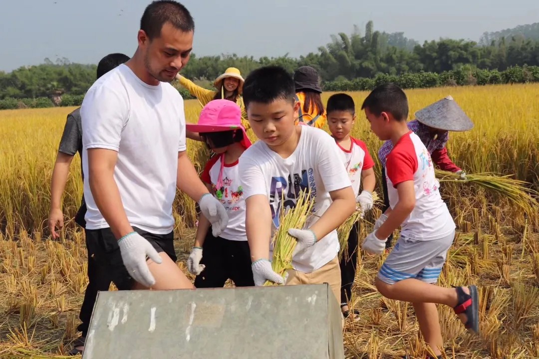 1634029917938957.jpg 312342.jpg