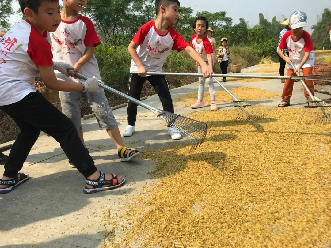 1634030698468473.jpg 123123121.jpg