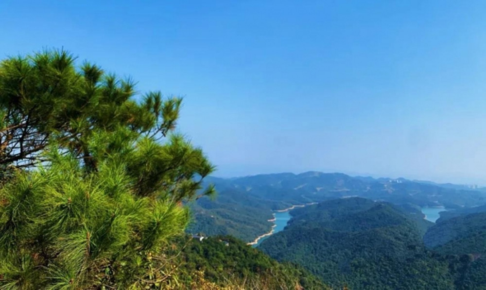1634883690591152.jpg 6035b3bc15387_副本.jpg