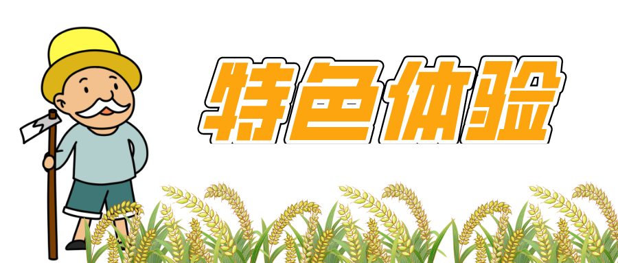 1635994600145775.png 特色体验-标题.png
