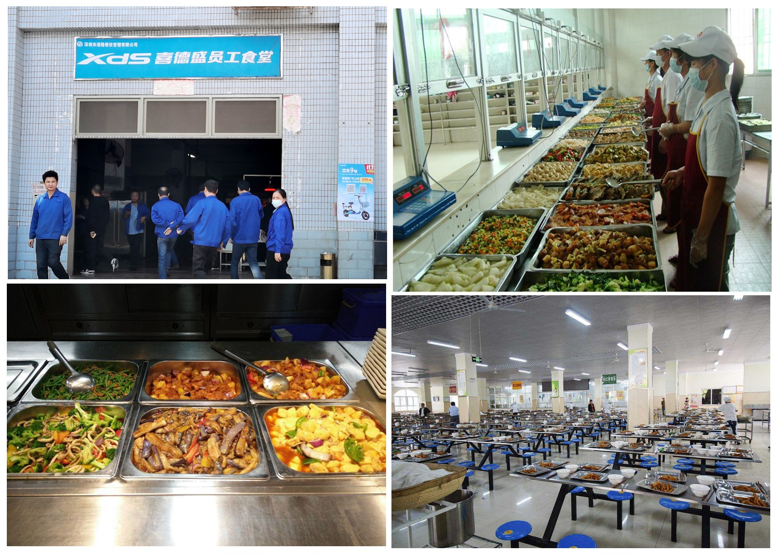 1637725651683872.jpg 深圳骑行食堂.jpg