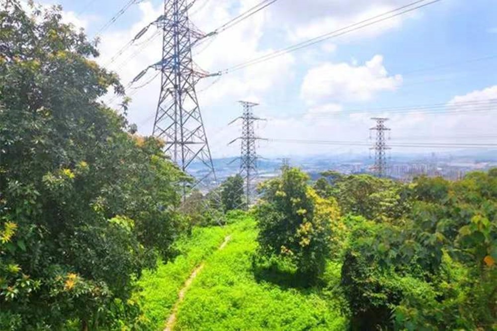 1639969280622214.jpg 66e02d5fe475093883f3374b5546a87_副本.jpg