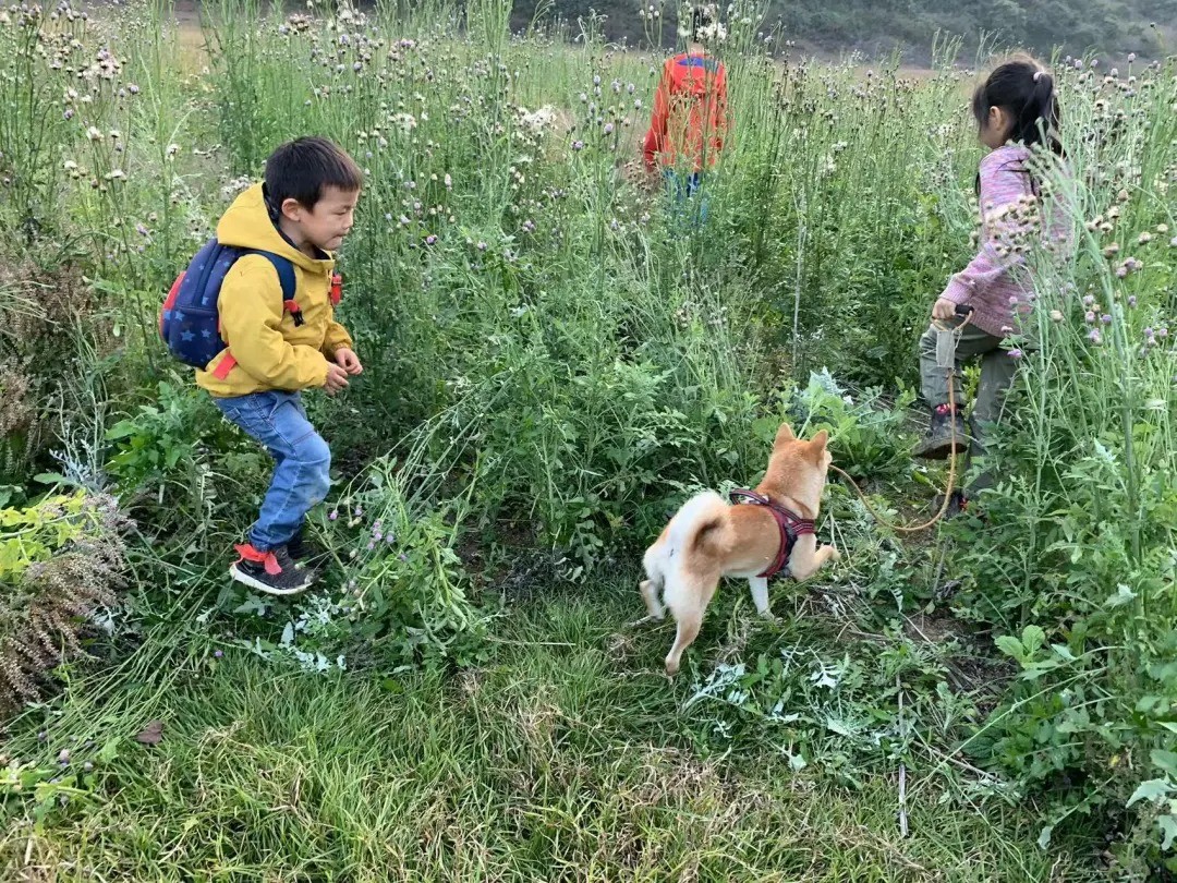 1641896661481840.jpeg 下载 (6).jpeg