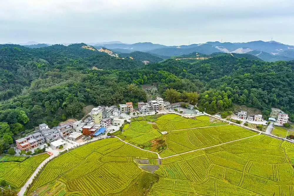 1645500170943104.jpg 微信图片_20220222110831.jpg