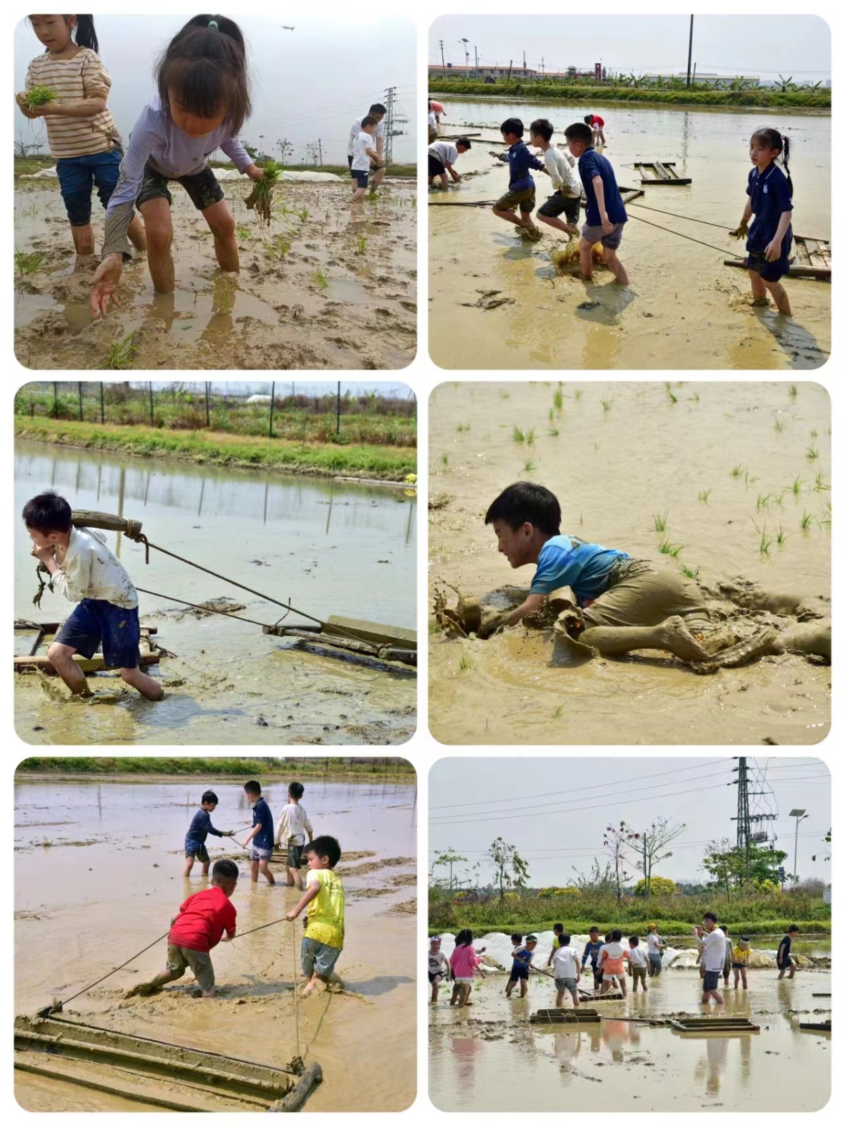 1678887490994579.jpg 微信图片_20230315213837.jpg