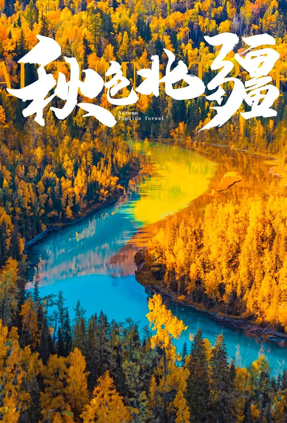 1693207774241339.jpg 234544.jpg