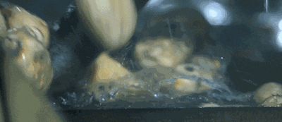 1695524912227693.gif 微信图片_20230924110834.gif
