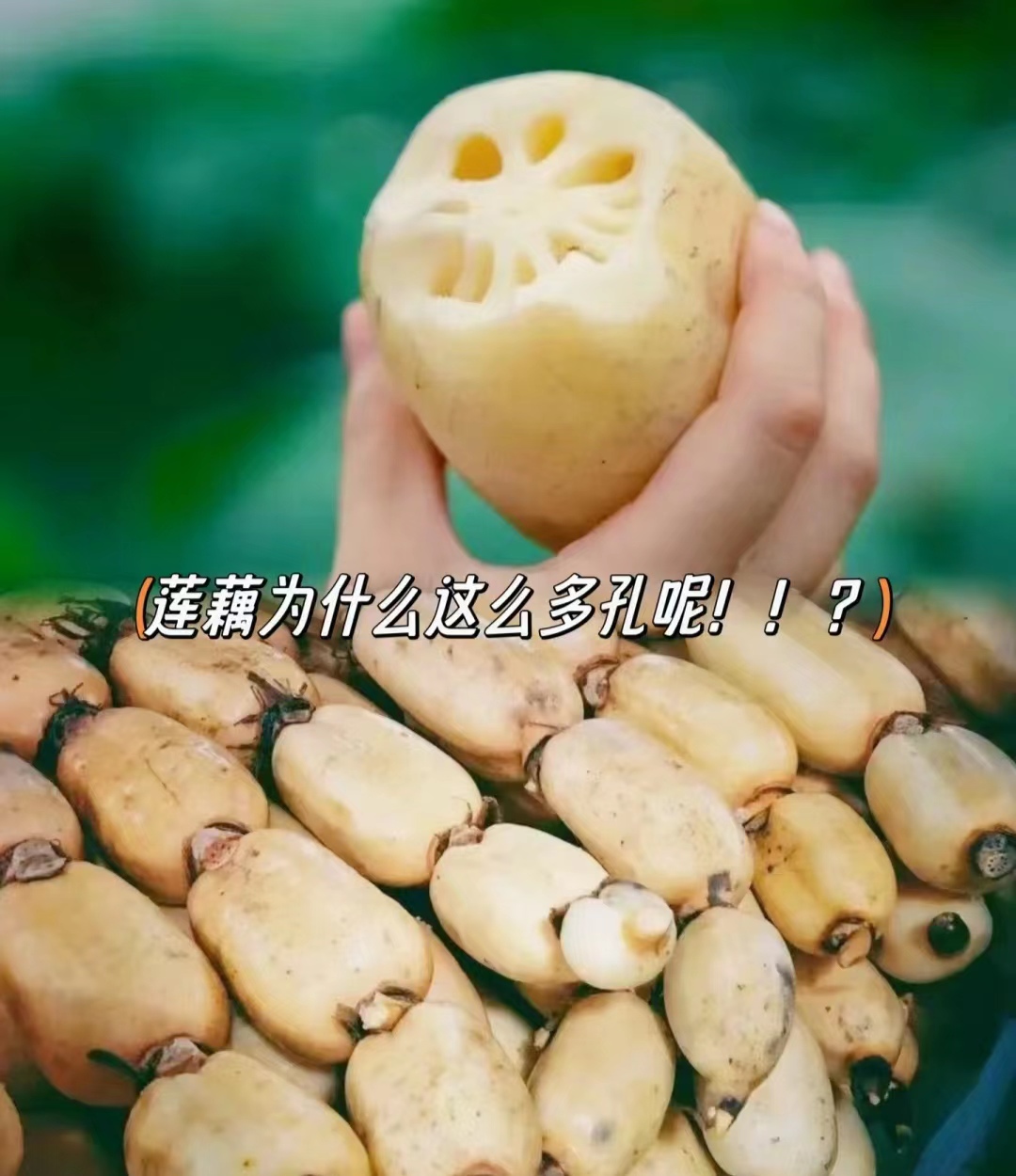 1695526969487750.jpg 微信图片_20230924114224.jpg