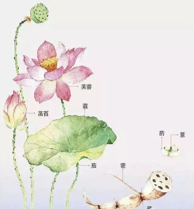 1695527358380600.jpg 微信图片_20230924114915.jpg