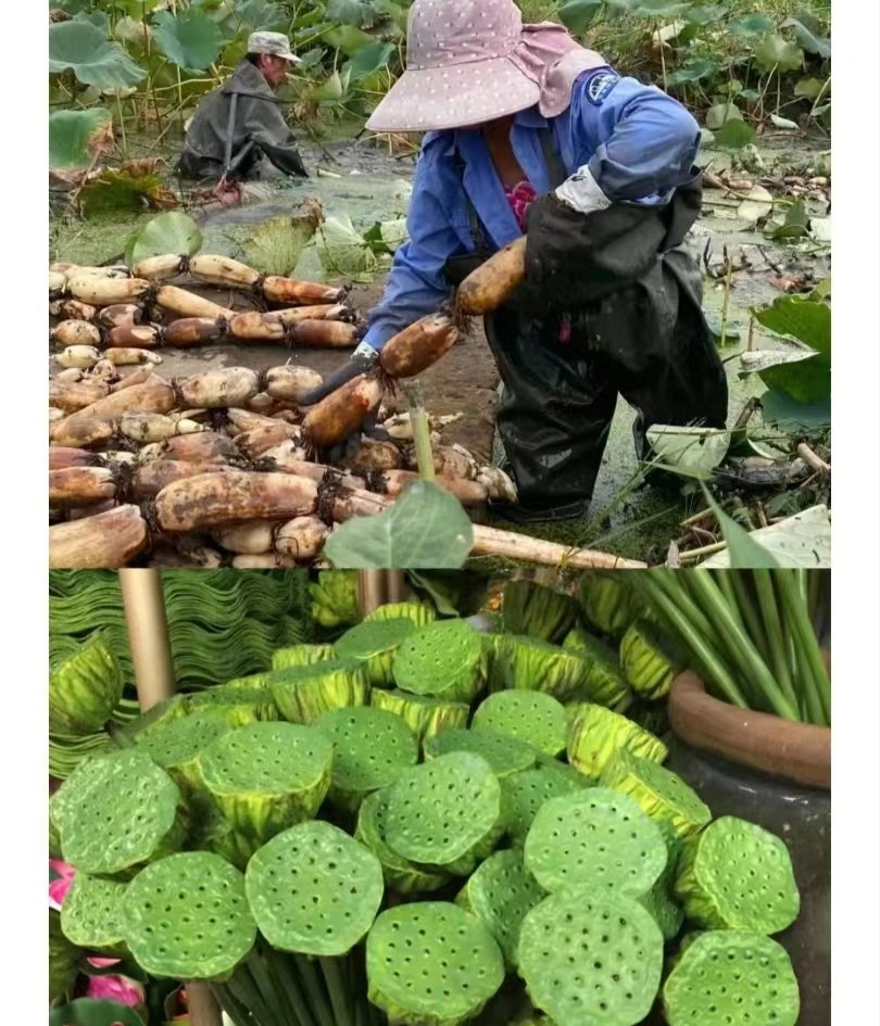 1695528179131935.jpg 微信图片_20230924120246.jpg
