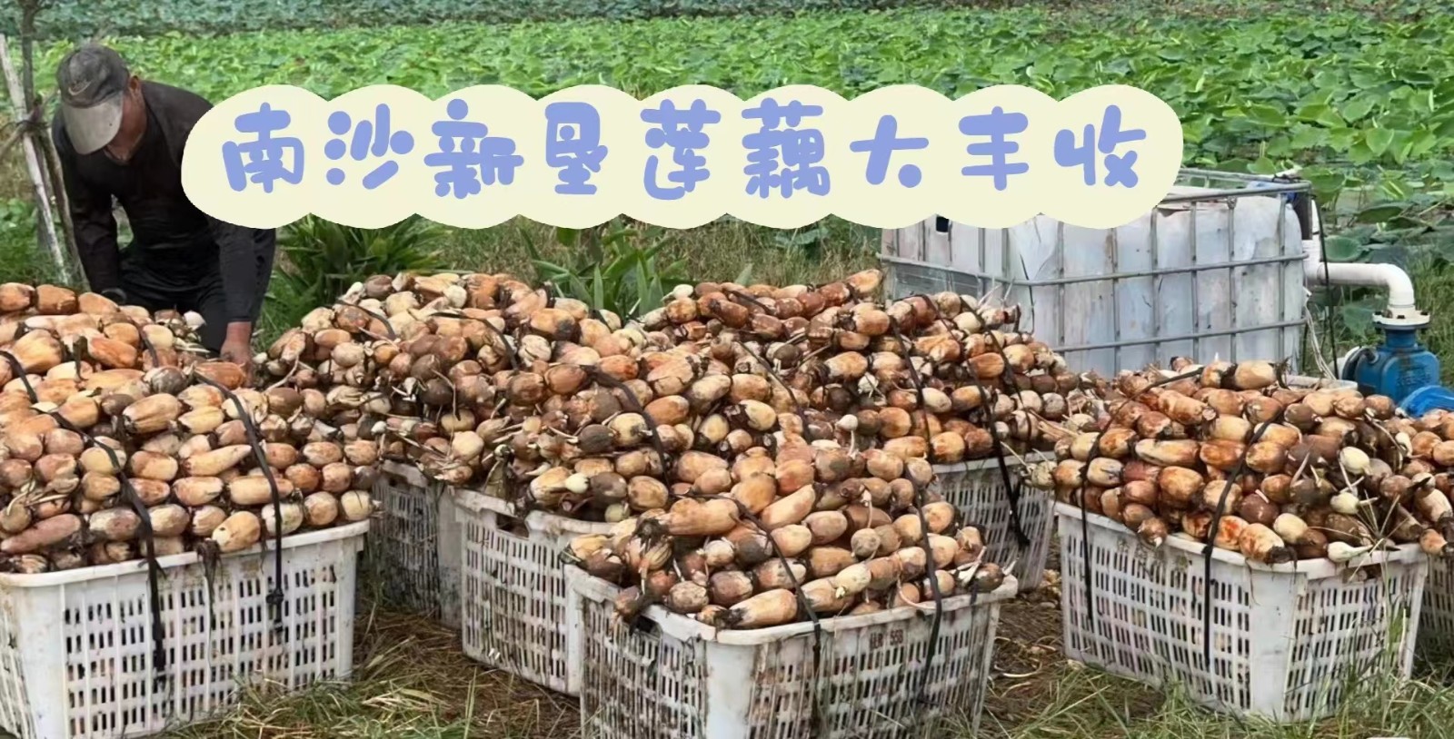 1695530697785404.jpg 微信图片_20230924123518.jpg